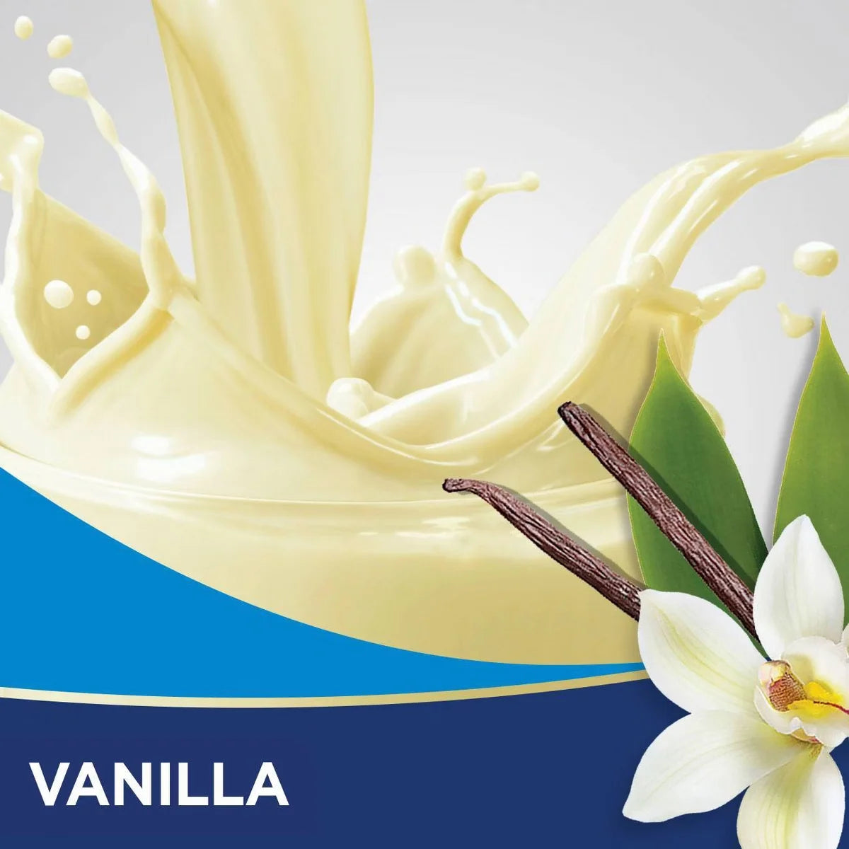 Ensure Enlive Advanced Nutrition Shake Vanilla Flavor for High Protein and Daily Nutrition Support, 8 oz, Case of 24